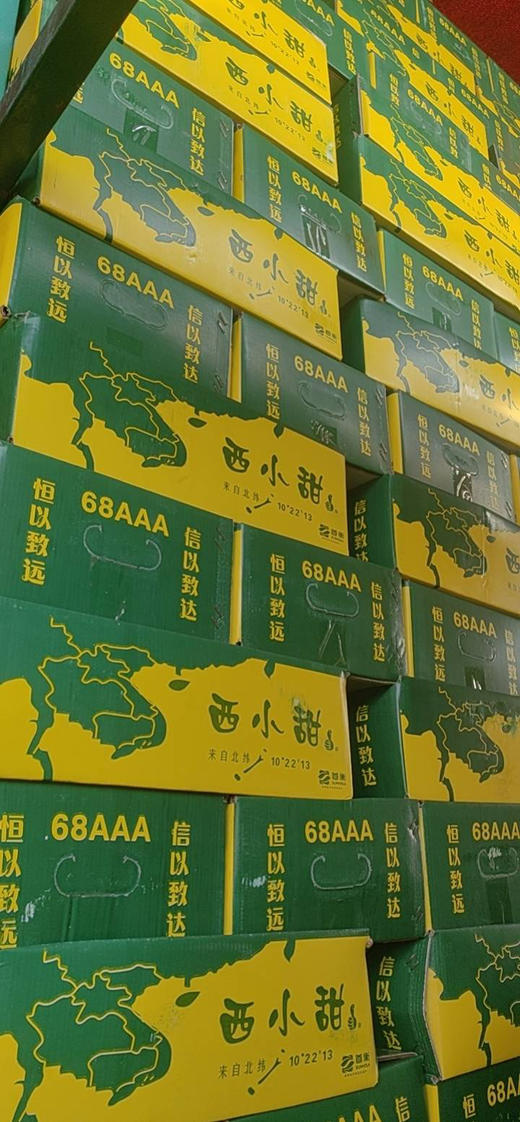 【好吃推荐】39.9元每件 黑美人西瓜（3颗15斤左右） 商品图5