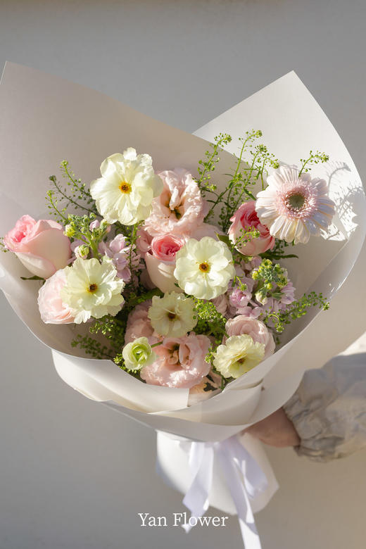 春野软风 商品图3