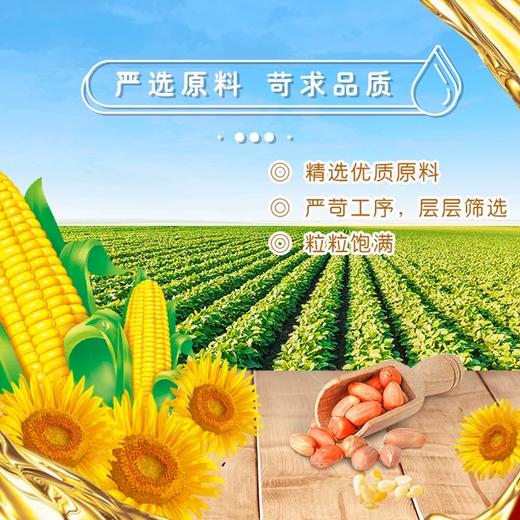 金龙鱼熟炒 花生香非转基因食用植物调和油 5L/壶 商品图1