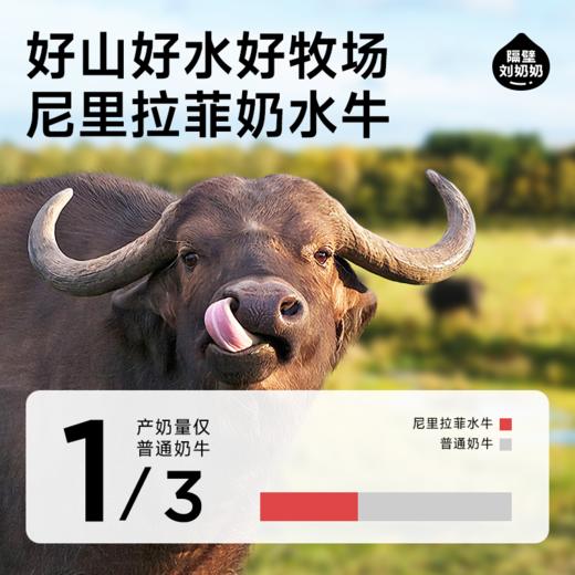 【旗舰】隔壁刘奶奶水牛配方小红帽200ml*10盒/箱 商品图3