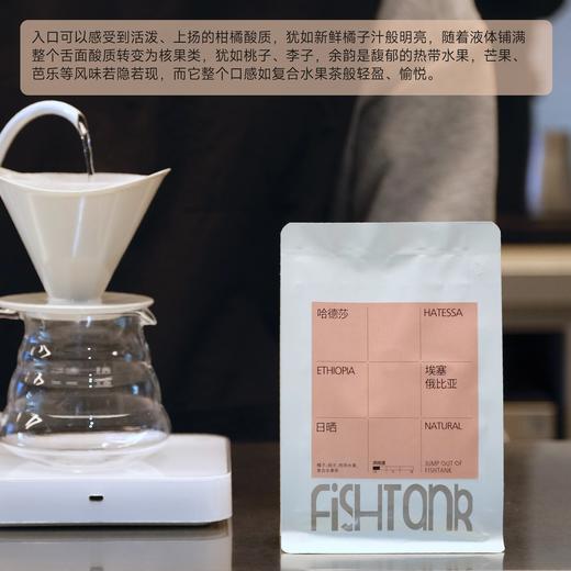 （自用）埃塞俄比亚 ALO 哈德莎  日晒 手冲咖啡豆 商品图2