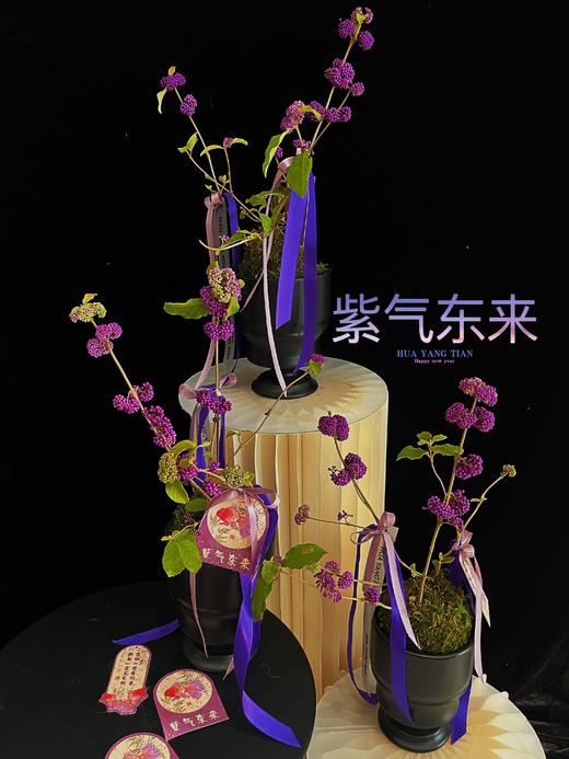 紫气东来 · 紫福珠盆景 商品图1