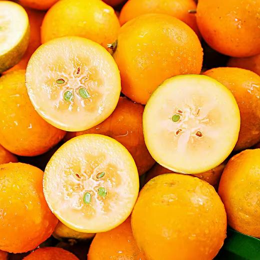 称重  广西金桔特大果500g 商品图0