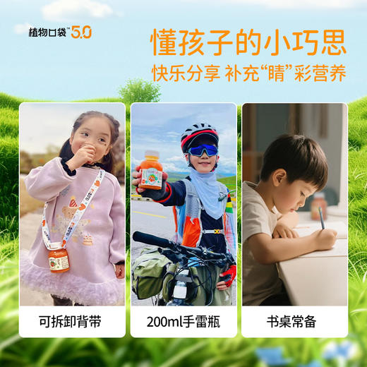 益生菌发酵胡萝卜汁200ml*12 商品图5