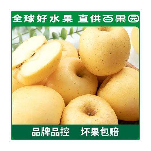 黄金维纳斯苹果4.5斤彩箱装（单果80mm+） 商品图0