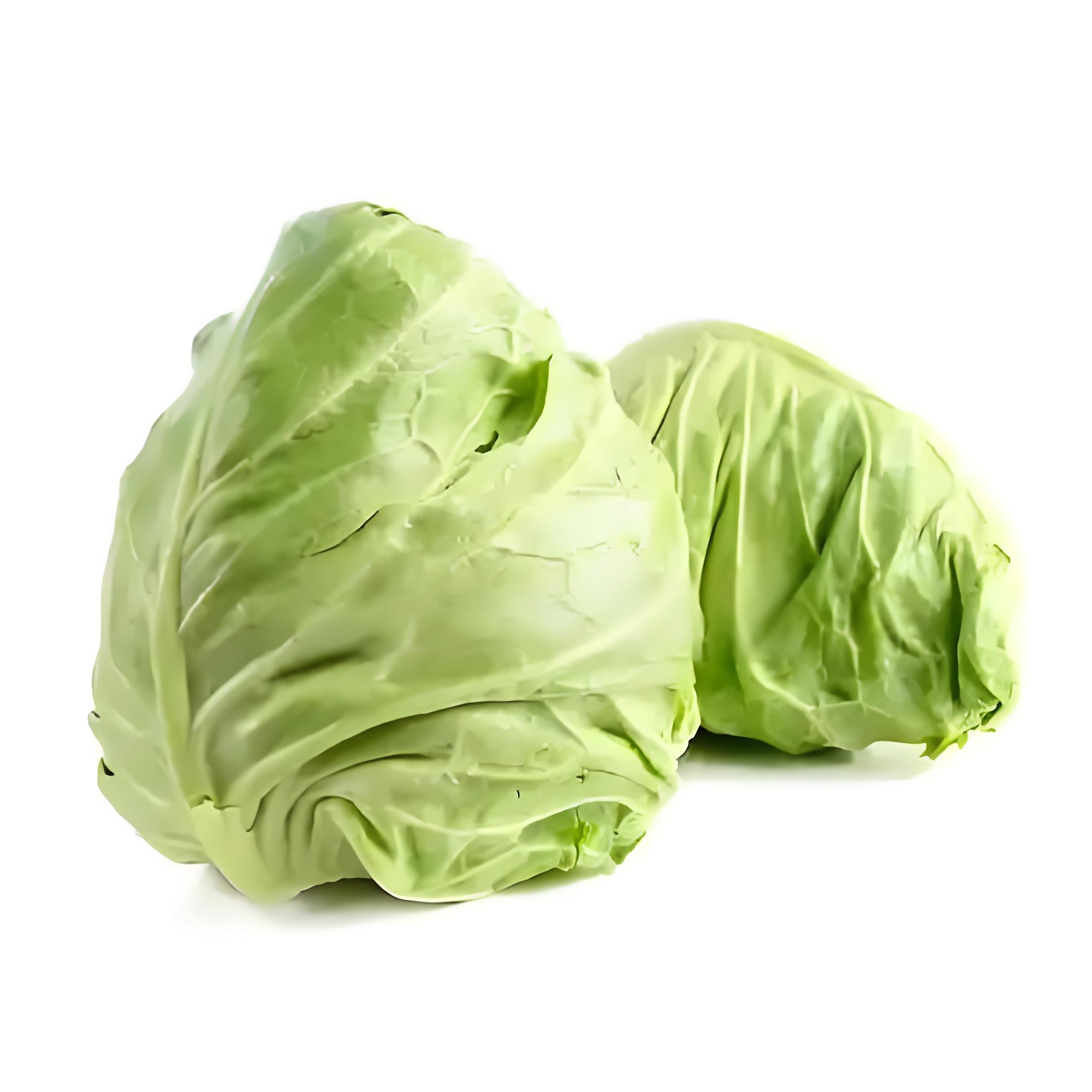 牛心甘蓝｜静物自产