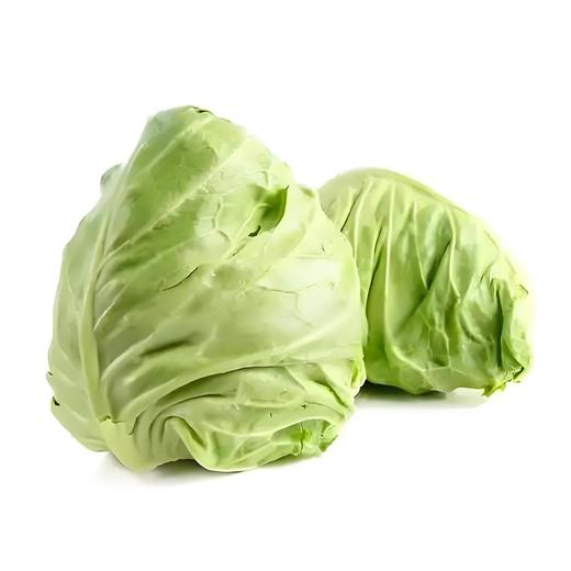 牛心甘蓝｜静物自产 商品图0