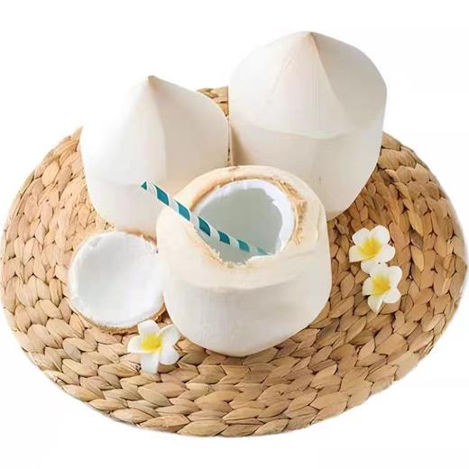 单颗  越南椰青大果1kg 商品图0