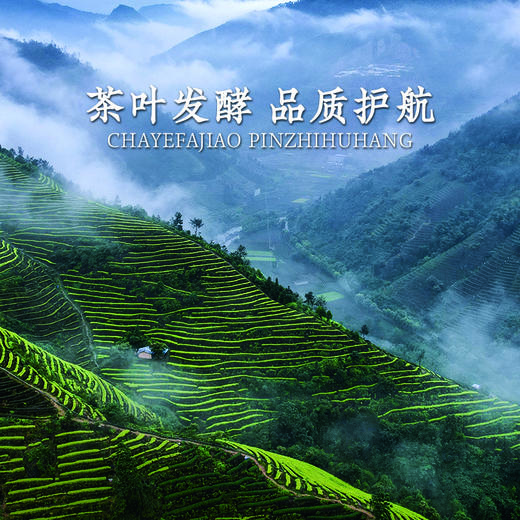 正德和锦绣江南2450g【臻礼贺岁】 商品图5