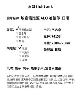 埃塞俄比亚 ALO 哈德莎  日晒 手冲咖啡