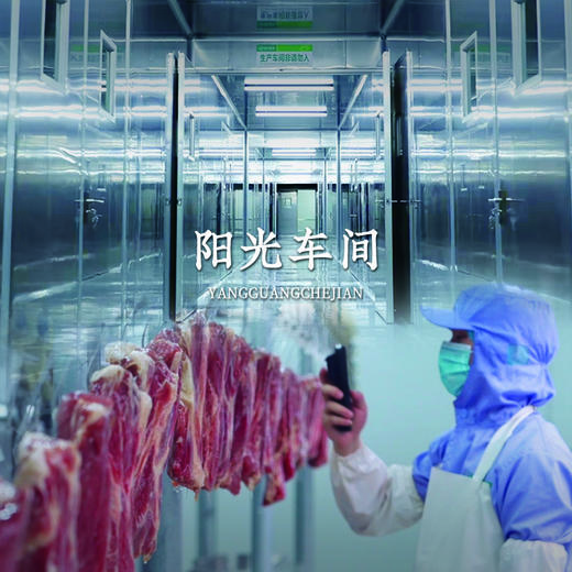 正德和锦绣江南2450g【臻礼贺岁】 商品图6