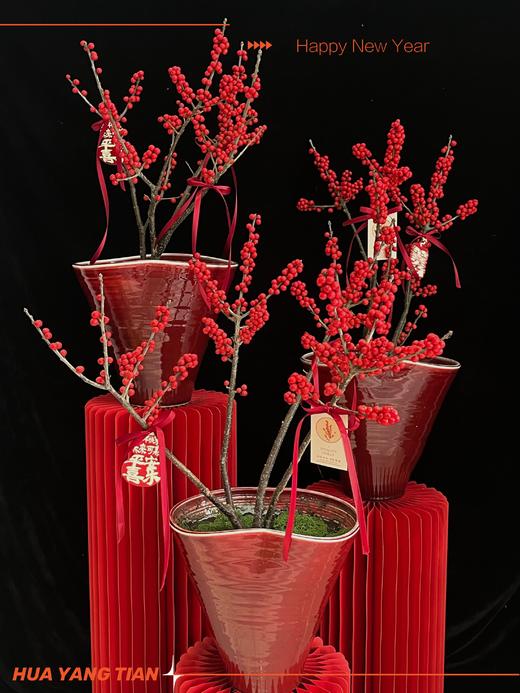 好运启程· 北美冬青陶瓷盆栽 商品图3