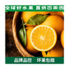 赣南脐橙（特大）9斤彩箱装 商品缩略图0