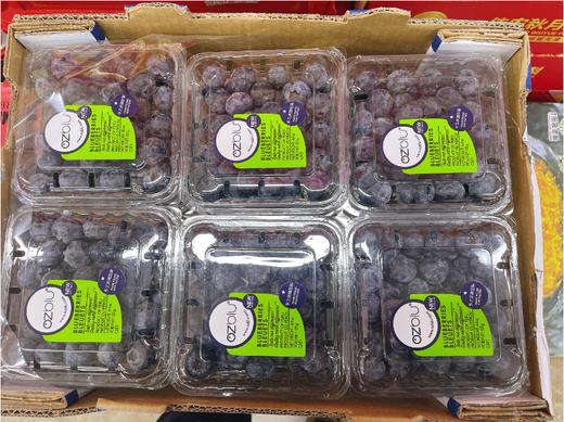 活动蓝莓2盒 商品图0