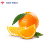 12枚装脐橙（礼盒装） 商品缩略图2