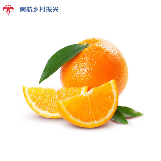 12枚装脐橙（礼盒装） 商品图2