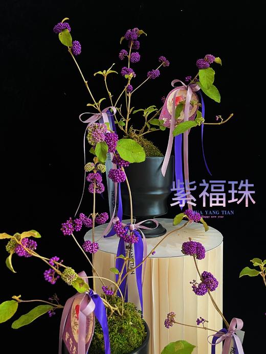 紫气东来 · 紫福珠盆景 商品图5