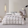 罗莱 GD-A类雪域蓄热95%鹅绒被220*250cm 600g 商品缩略图0
