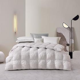 罗莱 GD-A类雪域蓄热95%鹅绒被220*250cm 600g