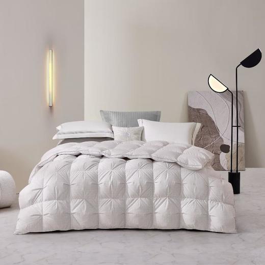罗莱 GD-A类雪域蓄热95%鹅绒被220*250cm 600g 商品图0