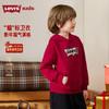LEVIS 冬 大童小童 儿童童装卫衣 LVB-PO-R649 商品缩略图3
