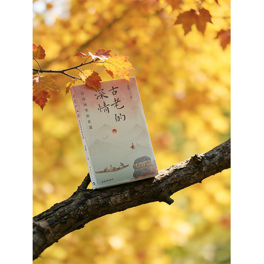 古老的深情：古诗词里的非遗 方蕾著 中国青年出版社 商品图3