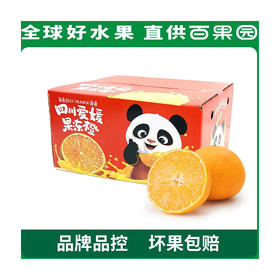 爱媛果冻橙4.5斤彩箱装（单果80mm+）