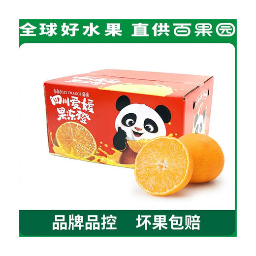 爱媛果冻橙4.5斤彩箱装（单果80mm+） 商品图0