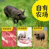 【南京提货券】苏食黑猪慢养300天猪筒骨500克*4盒新鲜屠宰 商品缩略图1