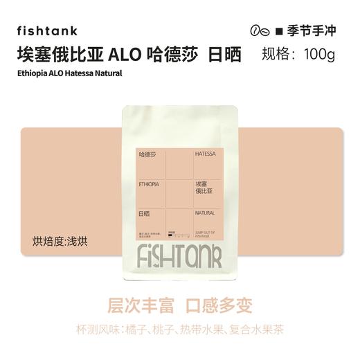 （自用）埃塞俄比亚 ALO 哈德莎  日晒 手冲咖啡豆 商品图0