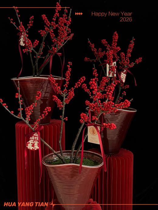 好运启程· 北美冬青陶瓷盆栽 商品图5