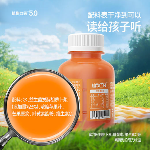 益生菌发酵胡萝卜汁200ml*12 商品图4