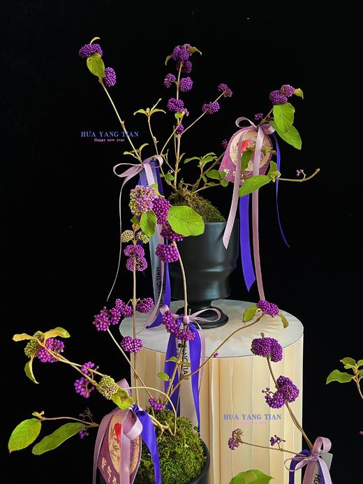 紫气东来 · 紫福珠盆景 商品图3