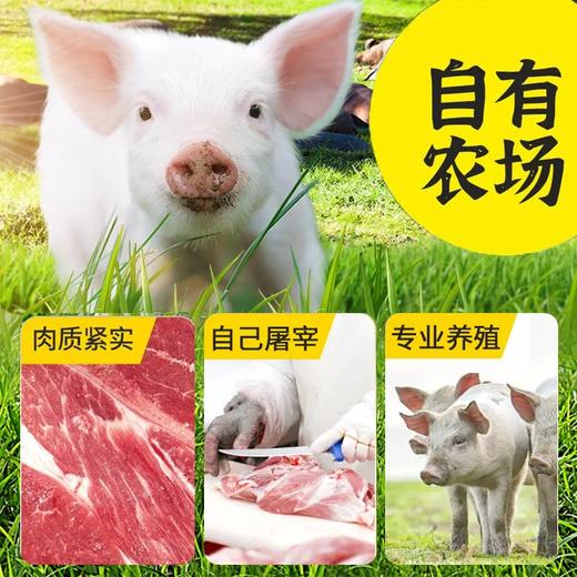 【南京提货券】苏食土淮猪带皮五花肉500g*4盒 商品图4