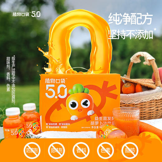 益生菌发酵胡萝卜汁200ml*12 商品图1