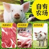【南京提货券】苏食土淮猪猪脚圈500克*4盒新鲜屠宰 商品缩略图1