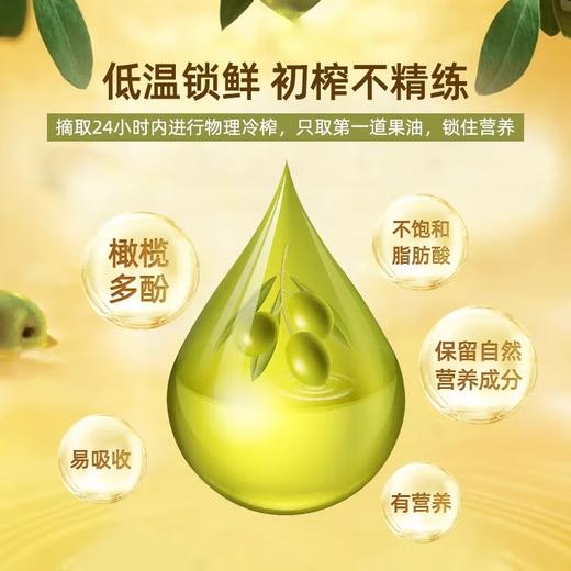 欧丽薇兰特级初榨橄榄油红色礼盒500ml*2瓶 商品图2