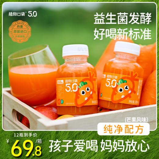 益生菌发酵胡萝卜汁200ml*12 商品图0