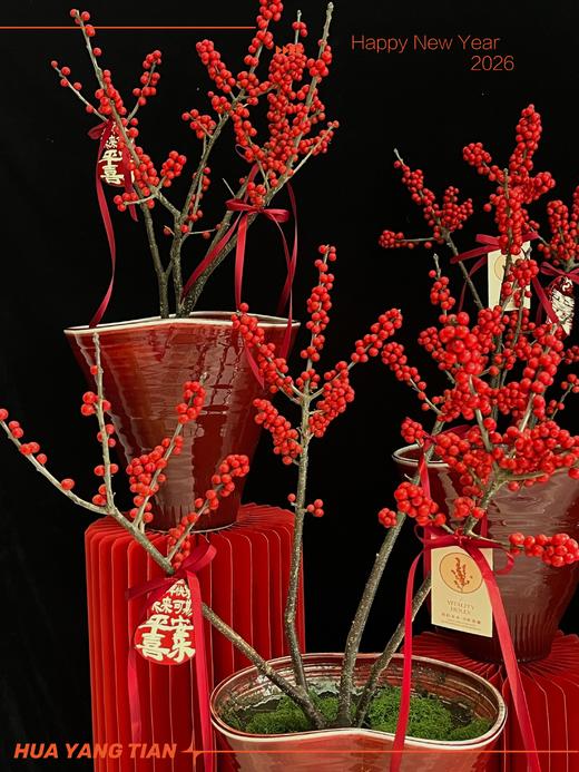 好运启程· 北美冬青陶瓷盆栽 商品图4
