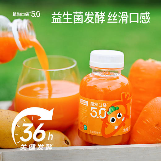 益生菌发酵胡萝卜汁200ml*12 商品图3