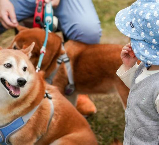 三月活动｜有机树屋共建招募 | Farm activities 商品图4