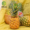 CY-菲律宾金菠萝2个装 商品缩略图0
