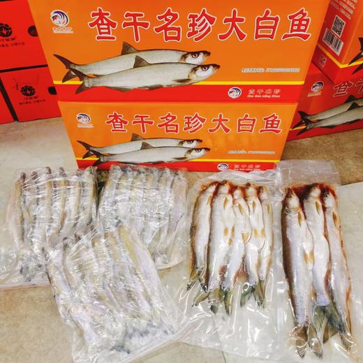 大白鱼一箱 商品图1