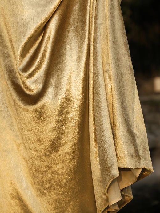 廷前观棠 |檀金-金色亮丝丝绒长裙 商品图4