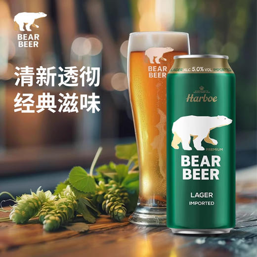 德国进口 豪铂熊拉格啤酒500ml/听 商品图1