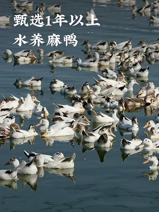 严选 | 杨梅鸭私房菜速食冷吃真材实料鲜香微辣120g*2袋 商品图1