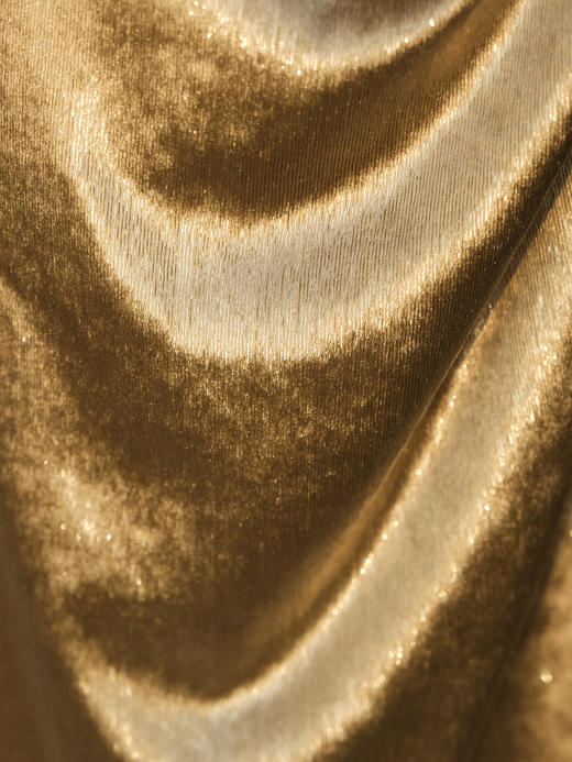 廷前观棠 |檀金-金色亮丝丝绒长裙 商品图3