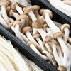 火锅三拼B（猪肚菌/金耳/平菇）/份 商品缩略图3