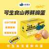 小鸡海蒂 可生食·山养鲜鸡蛋30枚 商品缩略图4