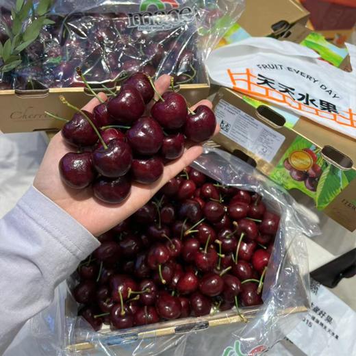 四JJJJ 拉宾斯车厘子巨大果  商品图4